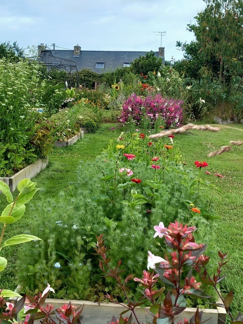 Bac bois fleurs 16 juillet 23
