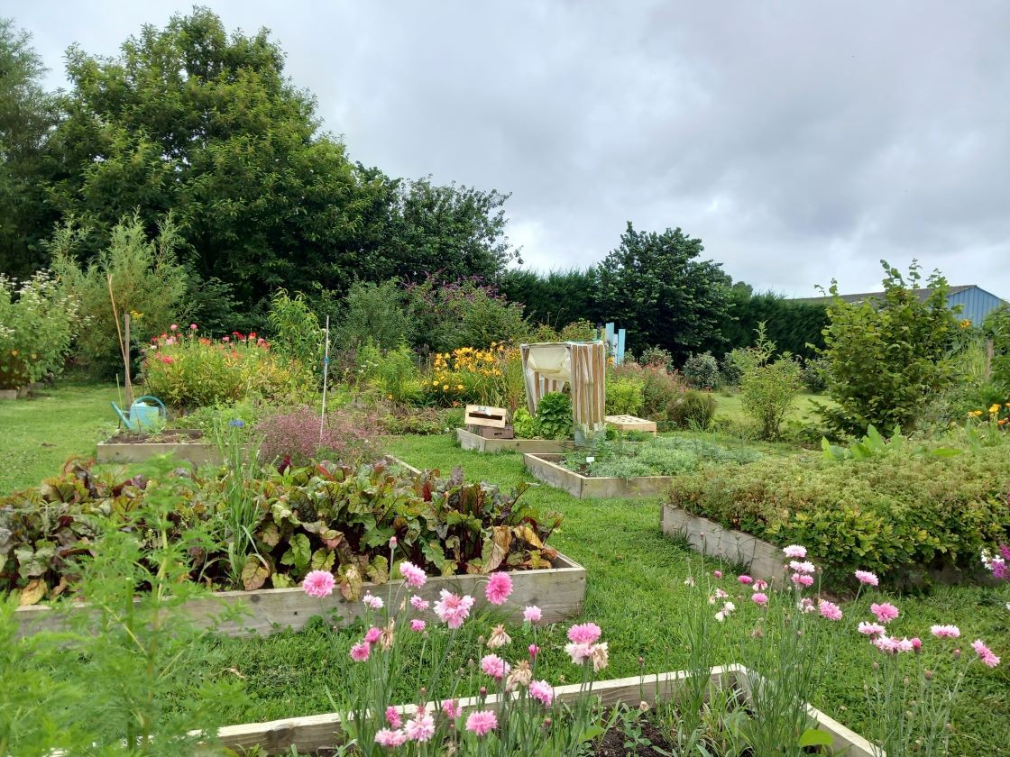 Des betteraves et des fleurs 16 juillet 23