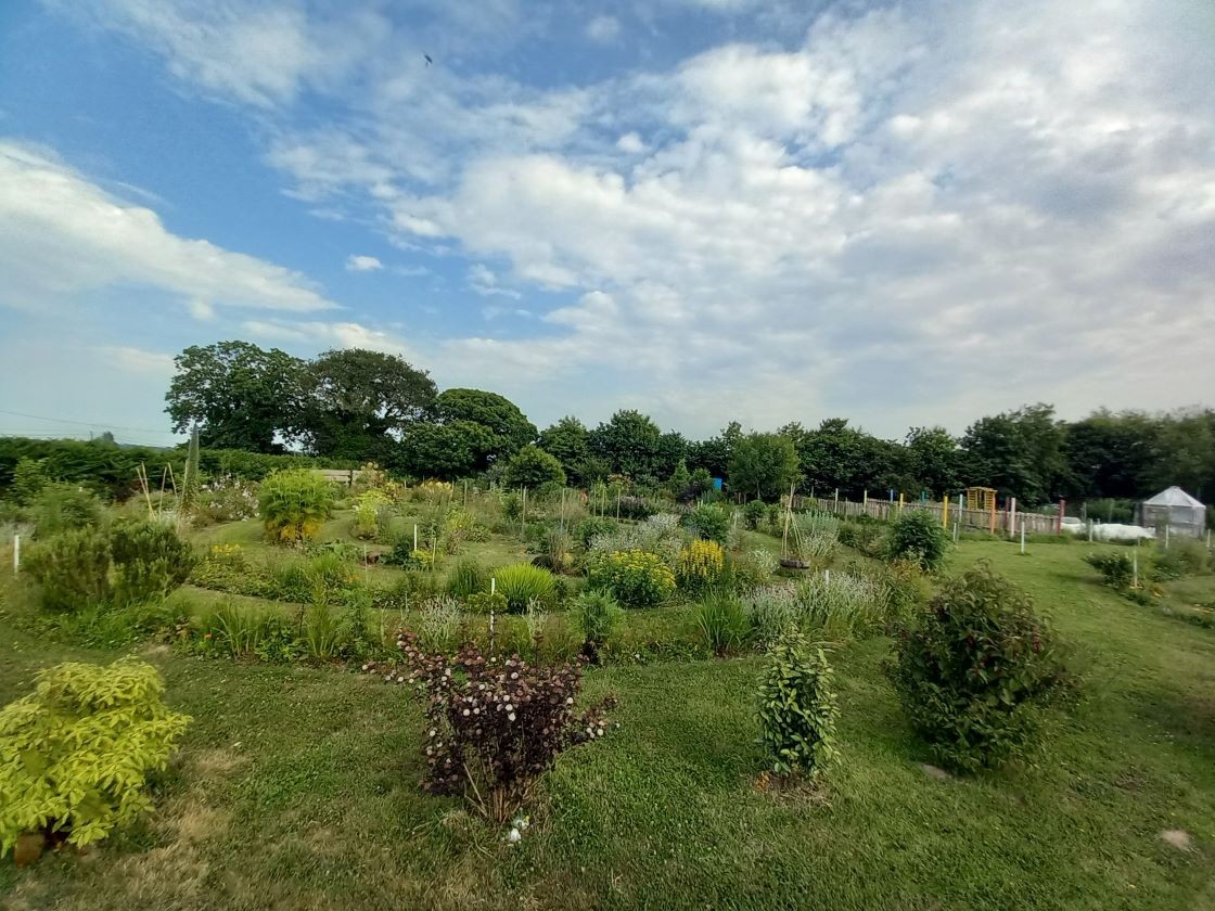  Vue en hauteur 16 juin 23 