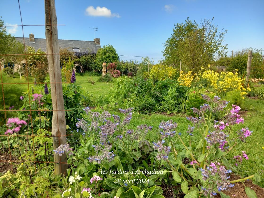 Couleurs de printemps
