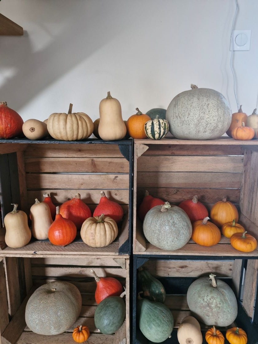 Etagère à courges