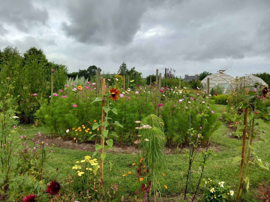 Cosmos 16 juillet 23 