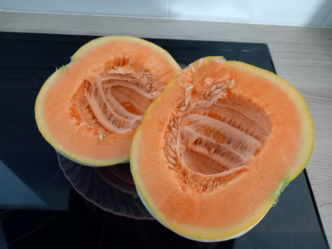 Melon 
