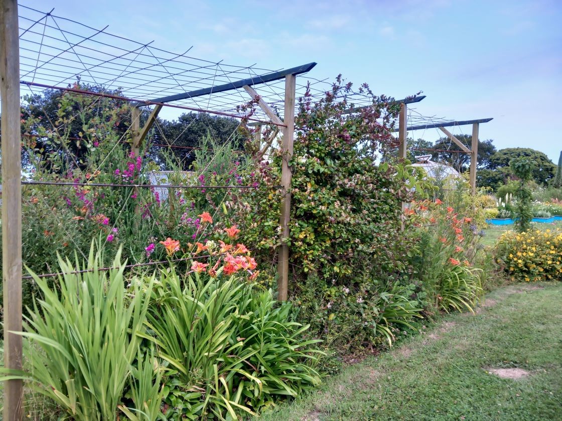 Pergola 27 juin 23