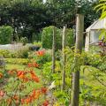 Au potager annuel