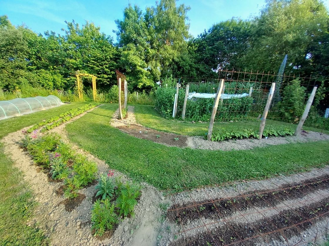 Quartier des haricots au potager annuel 13 juin 23