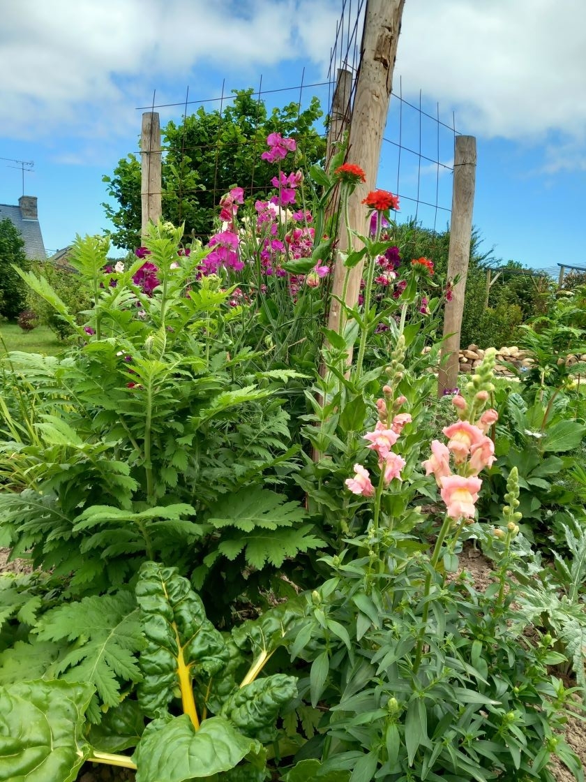 Des fleurs pour les auxiliaires 