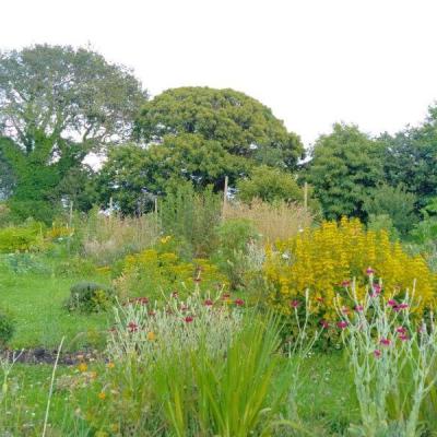 Jardin perpetuel