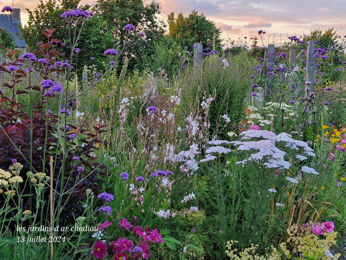 Fleurs d ete