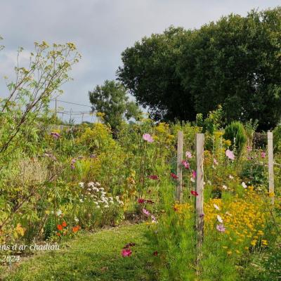 Jardin perp