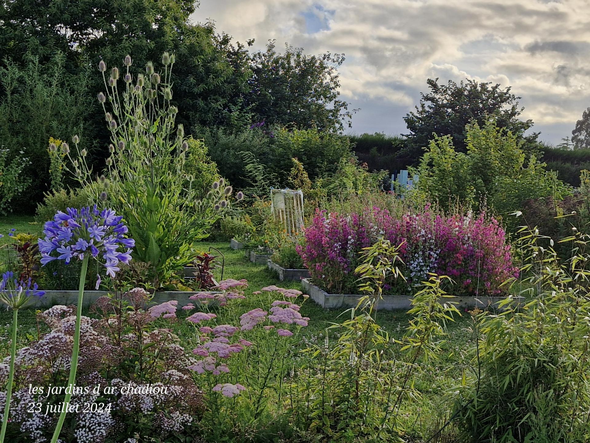 Photo 7 concours 2024