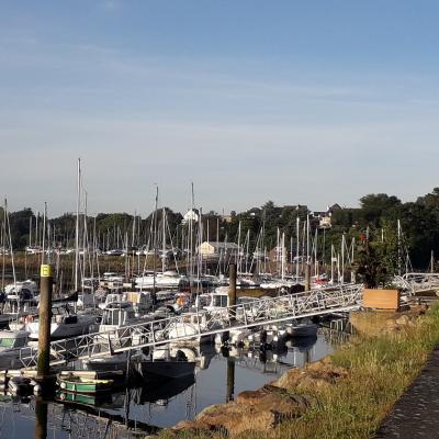 Port lezard 1